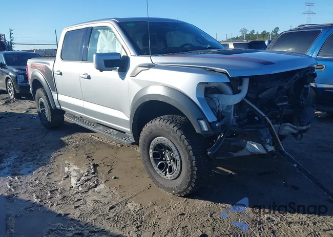 1FTFW1RG7PFD16419: 43975843