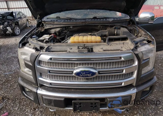 1FTEW1EG7FFC93563: 43976030