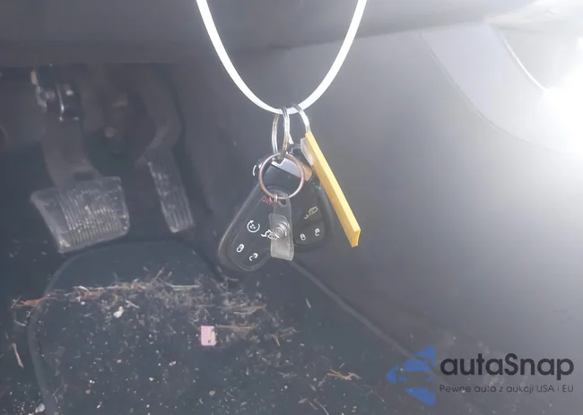 1C4PJMDS1GW187190: 43975430