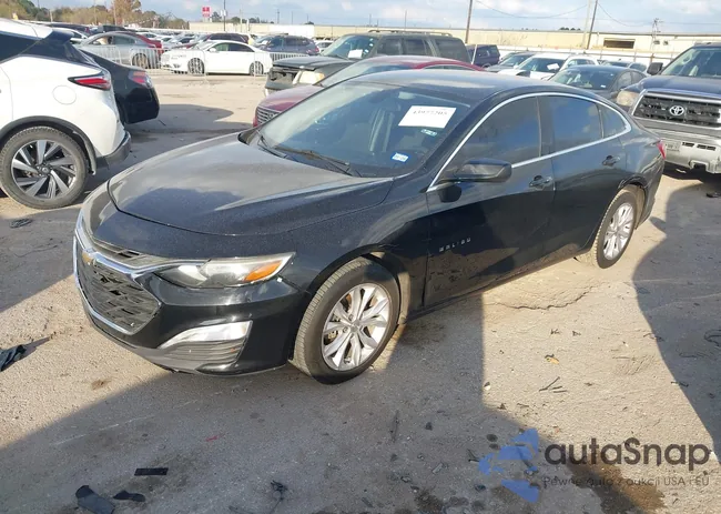 1G1ZD5ST3KF169356: 43977205