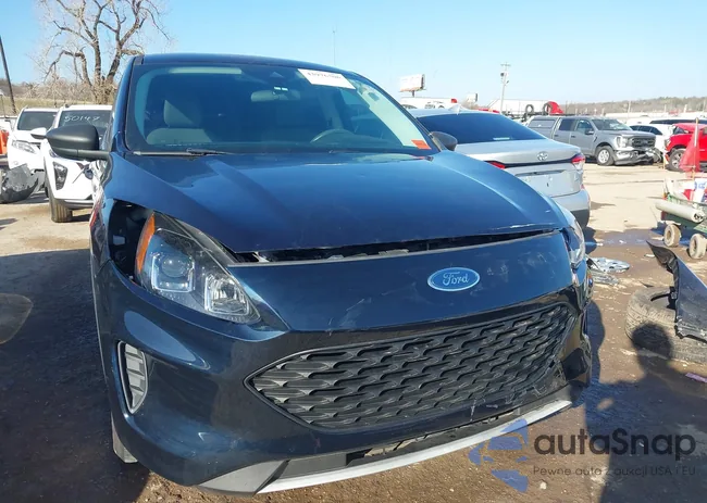 1FMCU0F68MUA49504: 43976506