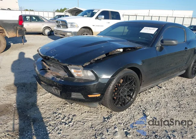 1ZVBP8AM9C5251964: 43976545