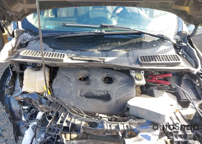 1FMCU0J9XGUB29943: 43977485