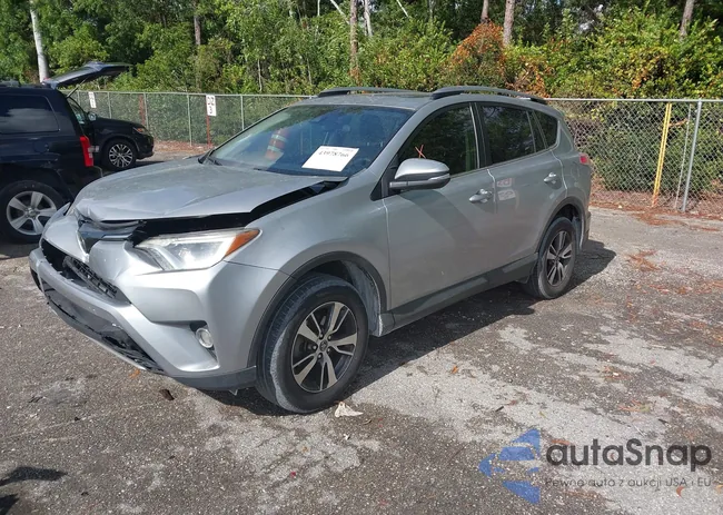 JTMWFREV0JJ203709: 43978766