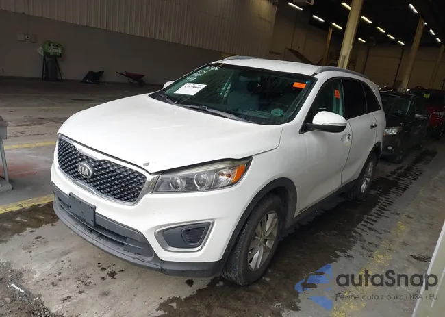 5XYPGDA52GG093989: 43978809