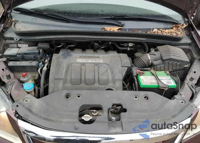 5FNRL38418B046831: 43979169