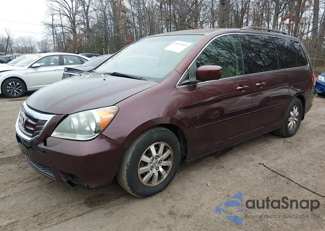 5FNRL38418B046831: 43979169