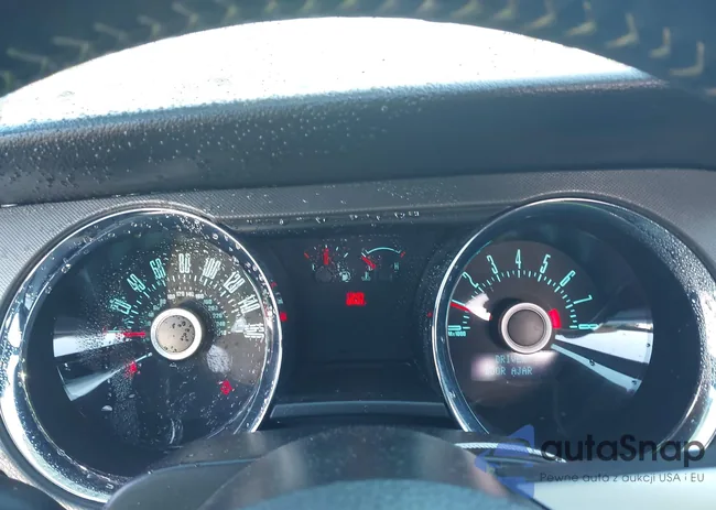 1ZVBP8AMXD5207425: 43979194