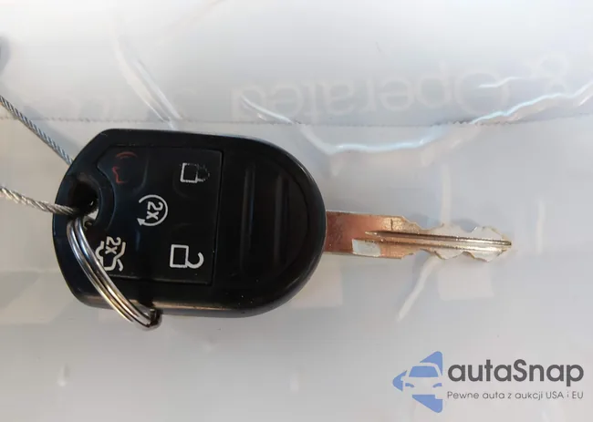 1FM5K8D81DGA17753: 43979948