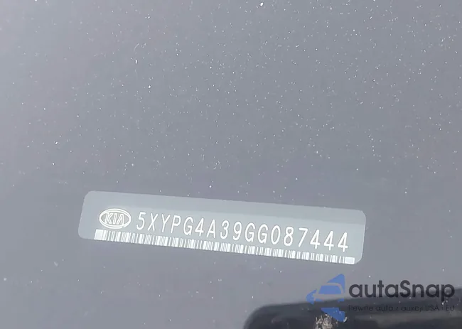 5XYPG4A39GG087444: 43979991