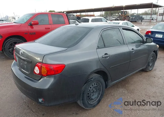 2T1BU4EEXAC402026: 43981236