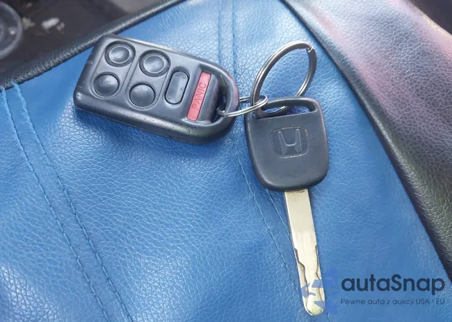 5FNRL38805B090642: 43981714