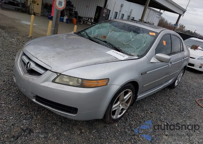 19UUA66246A014501: 43981856