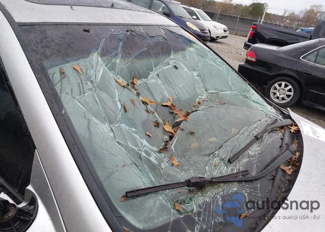 19UUA66246A014501: 43981856