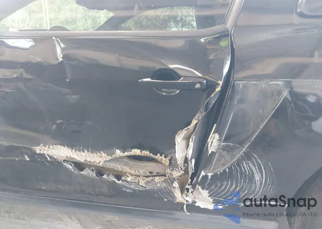 1ZVBP8AM4C5215647: 43982120