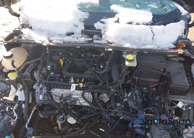 1FMCU9GD9KUB43793: 43982136