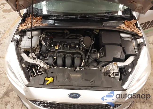 1FADP3E24GL311082: 43982763