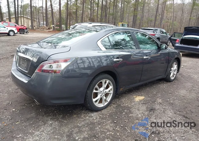 1N4AA5AP6CC854462: 43982802