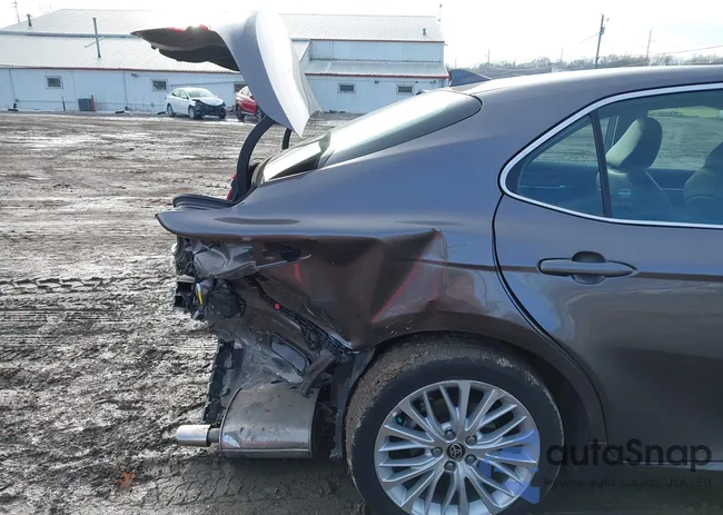 4T1F11BK8LU017455: 43982863