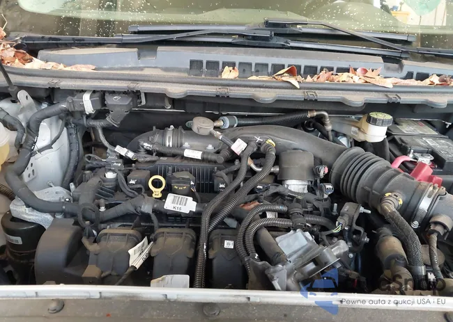 2FMPK4G9XLBA02437: 43982965