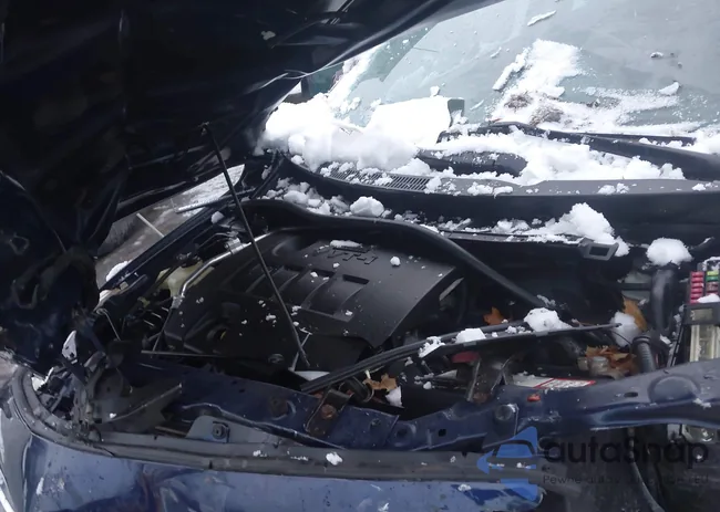 2T1BU4EE9DC008585: 43983020