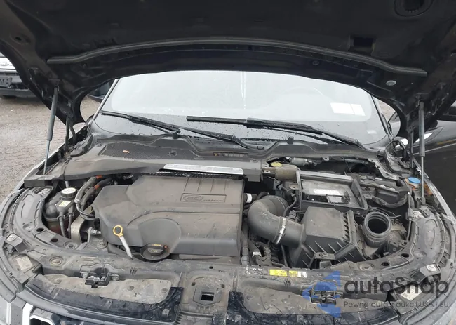 SALZP2FXXLH077637: 43982424