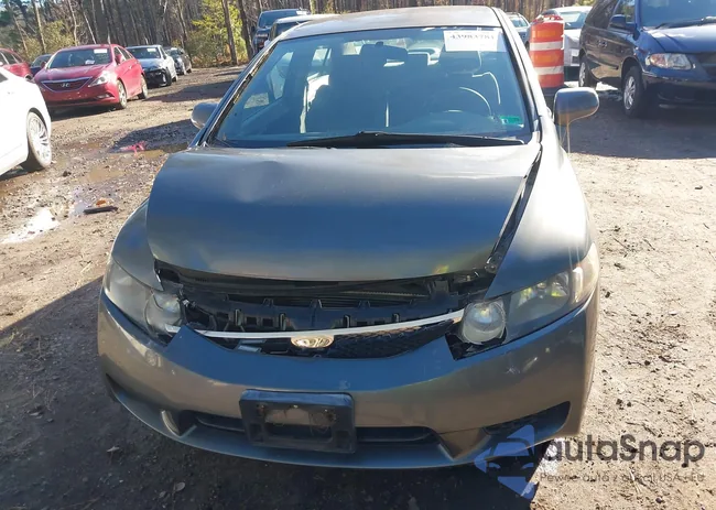 2HGFA16559H366594: 43983781