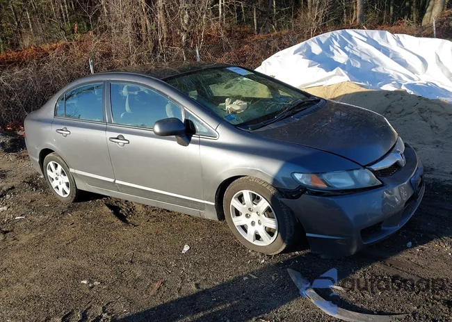 2HGFA1F51BH306222: 43983879