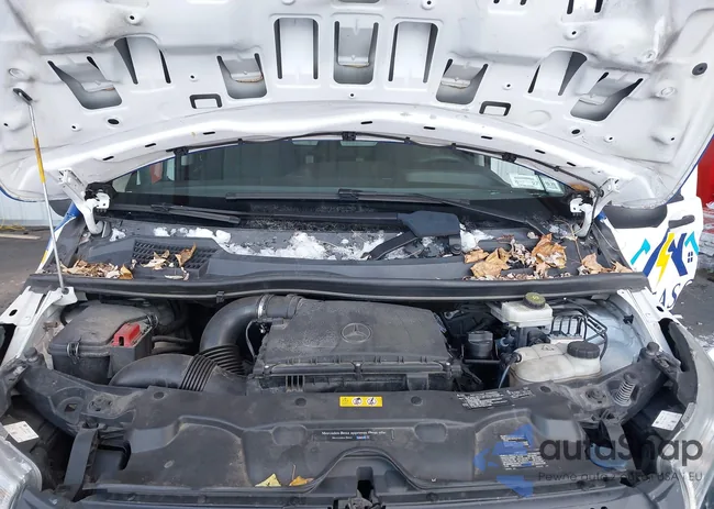 WD3PG2EA3K3515058: 43984005