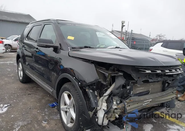 1FM5K8D8XHGD97102: 43984038