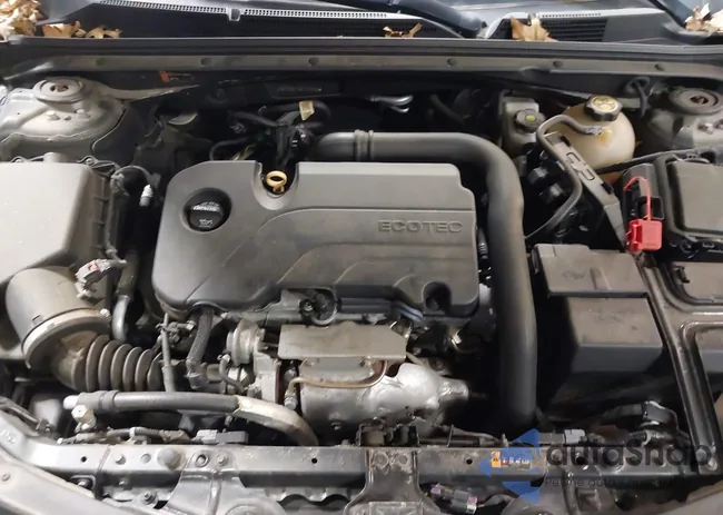 1G1ZD5STXJF214615: 43983321