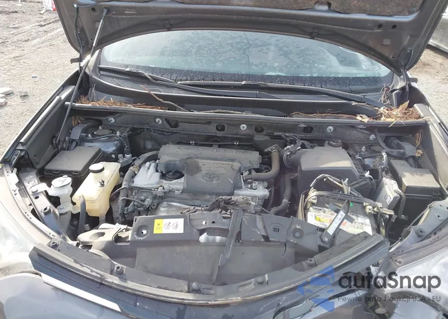 JTMZFREV7JJ170902: 43983386