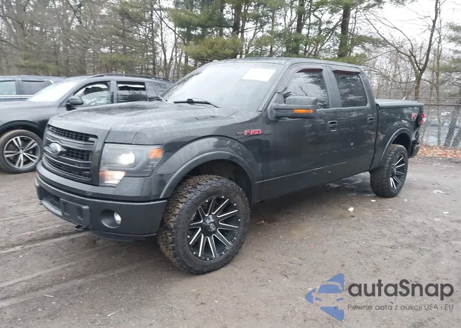 1FTFW1ET2DFA13305: 43984935