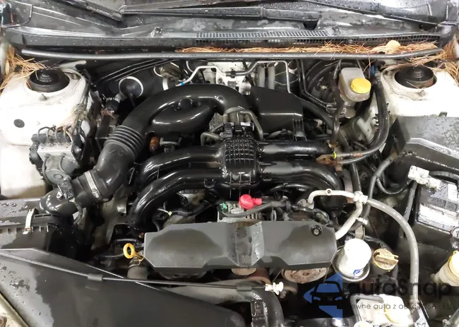 JF2GPAVC3D2857461: 43985179