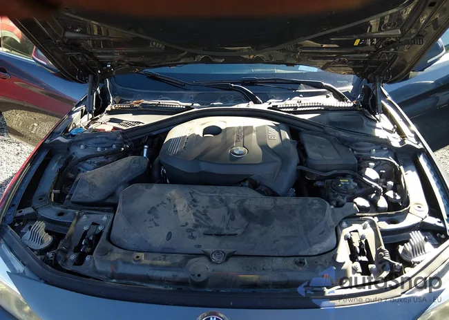 WBA4J1C5XKBM18369: 43984311