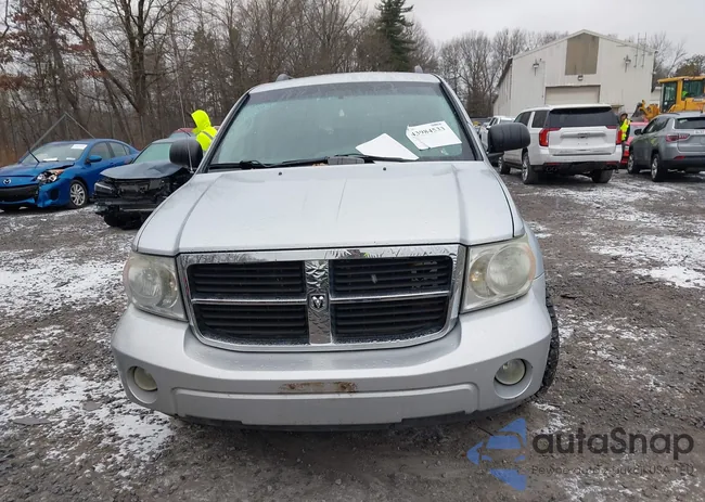 1D8HB48N97F506262: 43984533