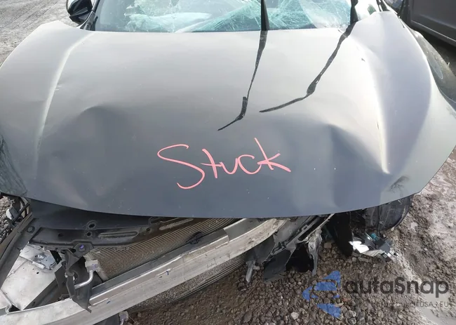 19XFC2F89LE208416: 43985719