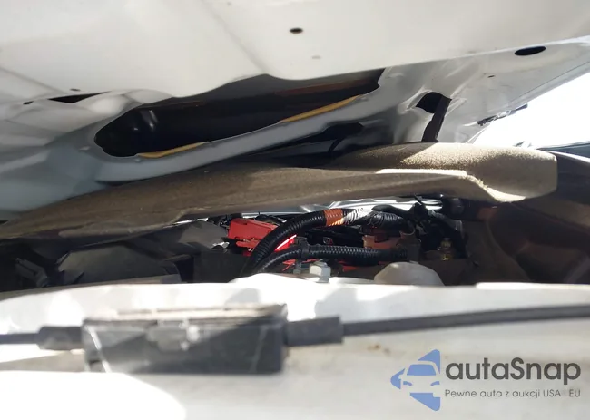 19XFC2F82KE002529: 43985726