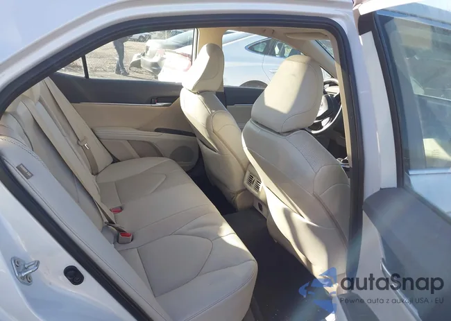 4T1F11BK6PU087834: 43986066