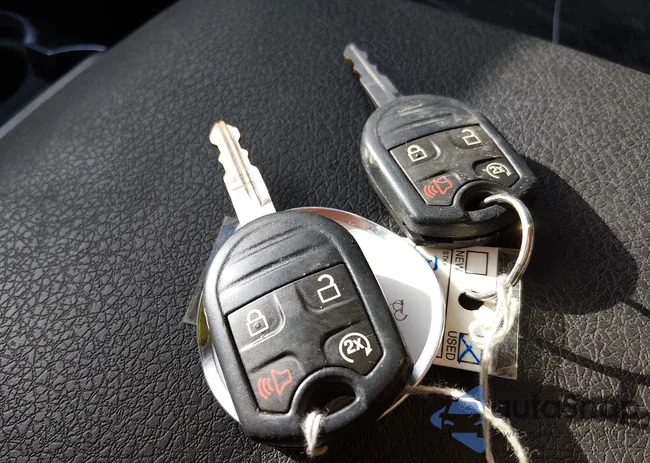 1FTFW1EF9DFC29520: 43986117