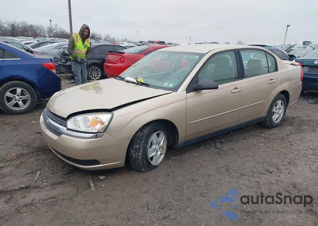 1G1ZT54885F220270: 43986181