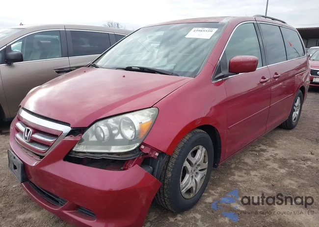 5FNRL38746B436345: 43985559