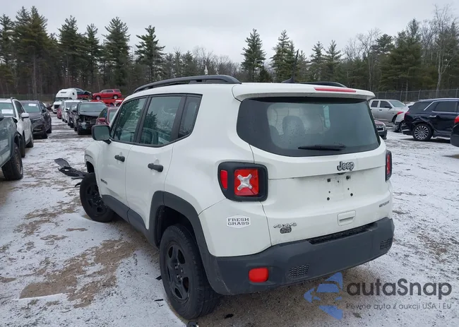 ZACCJBAH9JPH06647: 43985601