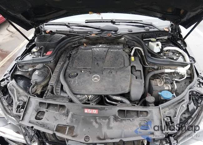 WDDGF8AB3DA818551: 43986723