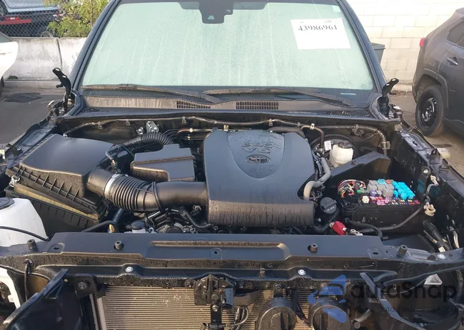 3TMBZ5DN7PM040584: 43986961