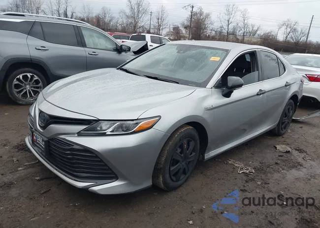 4T1L31AKXLU526817: 43986417