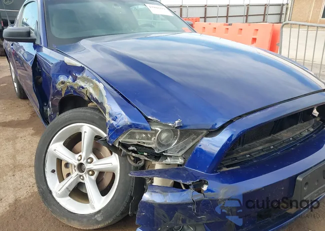 1ZVBP8AM3E5210099: 43988219