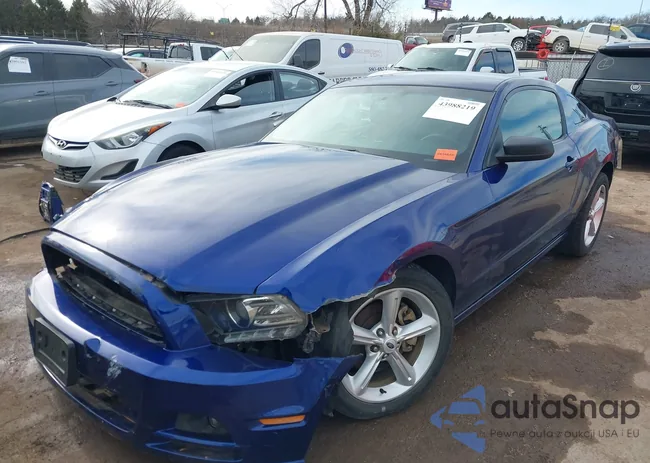 1ZVBP8AM3E5210099: 43988219