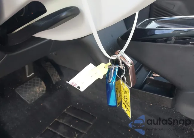 1V2JNPE8XPC019255: 43987389