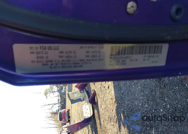 2C3CDZC9XJH309718: 43987407